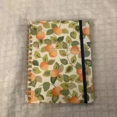 Item thumbnail for item 9062daf7-0895-4bf7-b5ed-e2c9cfc65d8c