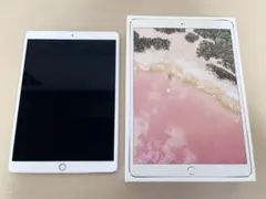 iPad Pro 10.5インチ 64GB デモ機 Wi-Fiモデル