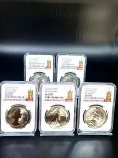 純金】ワンピース 純金カード 純金プレート - メルカリ