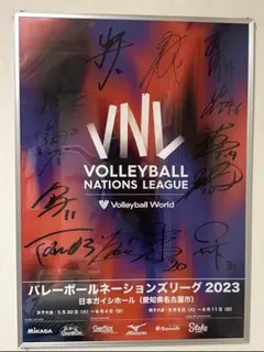2026年最新】バレーボールネーションズリーグ男子の人気アイテム