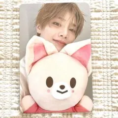 Stray Kids アイエン トレカ SKZOO EVERYWHERE 韓国
