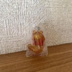 Winnie the Pooh めじるしアクセサリー