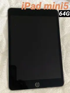 iPad mini (第5世代) 64GB Wi-Fiモデル