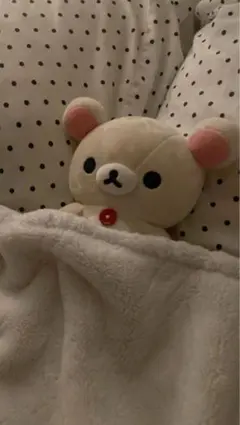 サリー様専用
