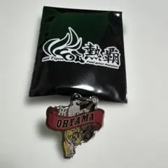 大山悠輔選手 阪神タイガース シークレットピンバッジ