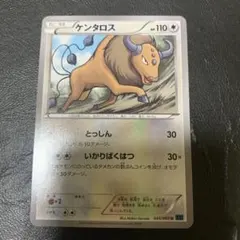 ポケモンカード ケンタロス XY1