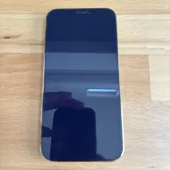 Apple iPhone 12 Pro パシフィックブルー 本体　画面割ジャンク 2026年最新】Yahoo!オークション -iphone12 pro ジャンクの中古品