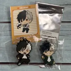 WIND BREAKER ラバーキーフォルダー　2点＆チェキ風カードおまけ
