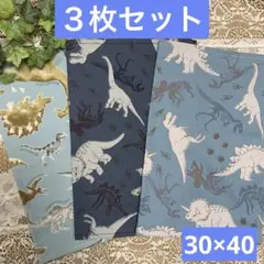 ３枚組★ランチョンマット★給食ナフキン★恐竜C