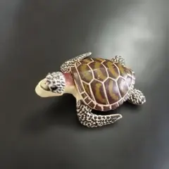 シャクレルプラネット　ガチャガチャ　かめのサムネイル