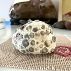 みきれい様 リクエスト 2点 まとめ商品