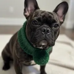 Item thumbnail for item 114b2811-a021-4b62-97c2-3a719e67ed26