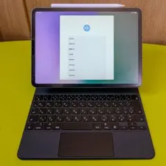 Apple iPad Pro 11インチ M1/1TB 美品 セット販売