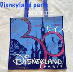 ディズニーランドパリ　30周年記念　クリスタルメダル 期間限定放出！入手困難品！ 2025年最新】ディズニーパリ 30周年の人気アイテム - メルカリ