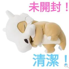 カラカラ　Pokemon Sleep　もっちりぬいぐるみ　おやすみのサムネイル