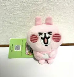 カナヘイの小動物 ゆるっとアミューズメント うさぎのサムネイル
