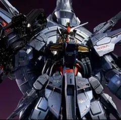 ＭＧ 1/100 プロヴィデンスガンダム [スペシャルコーティング]のサムネイル