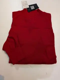 Item thumbnail for item fced5295-4bca-4d29-aa61-d82e7a97ec76