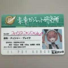 シュタインズゲート　ファイナルミッション　ラボメンカード　フェイリス