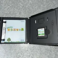 Nintendo DS おいでよどうぶつの森