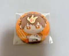 家庭教師ヒットマンREBORN！ぽにすてっぷ　沢田綱吉（ツナ）缶バッジのサムネイル