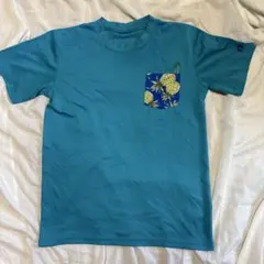 Item thumbnail for item 1fe91698-99db-42f8-8e48-e41eb4c3ebcf