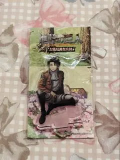 【激レア】進撃の巨人 お花見調査兵団 リヴァイ アクリルスタンド まとめ売り 2025年最新】お花見調査兵団の人気アイテム - メルカリ