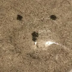 gelato pique 激レア✧‧˚ハロウィン限定ポーチ(未使用タグ付き)