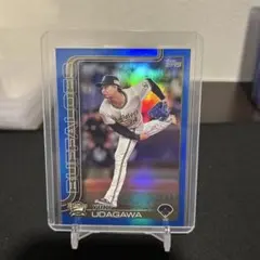 Item thumbnail for item 1f0329df-6ddd-4347-bb61-2c7464b528c8