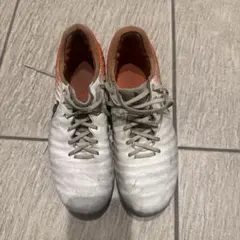 Item thumbnail for item bd3de08b-73ef-415e-9c91-d001ce66a990