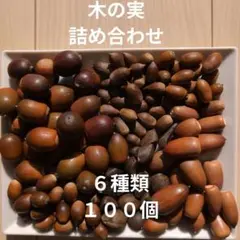 Item thumbnail for item dee9ba56-0534-4ded-801a-200fb7b2da84