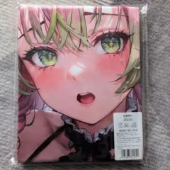 Item thumbnail for item f60e54ab-4e42-49ed-9c22-58f33a3dcfc6