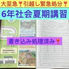 ⑲ま サピックス SAPIX 4年 社会 通常レッスン 一年分セット - メルカリ