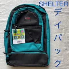 Item thumbnail for item b5cd85dc-01b1-49bb-81fd-289203247e93