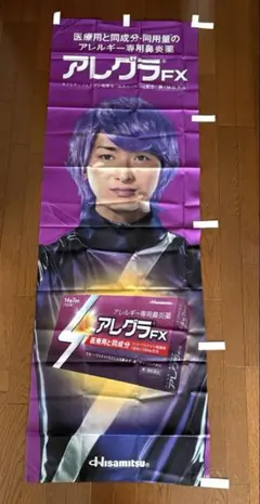 2026年最新】アレグラのぼりの人気アイテム - メルカリ