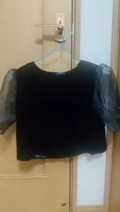 Item thumbnail for item 71b41671-4024-4c37-b29f-f2b10897e75a