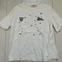 THE ANIMALS OBSERVATORY Tシャツ サイズ6のサムネイル