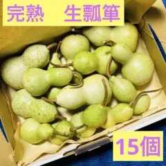 完熟　ひょうたん　加工用　15個　③