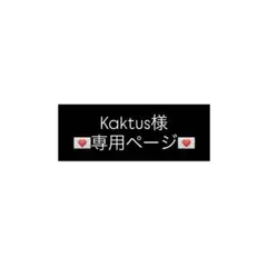 Kaktus様 リクエスト 2点 まとめ商品