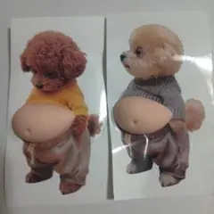 △　お腹　ぽっこり　シリコン　ぷにぷに　ステッカー　おなか　シール　トイプードル