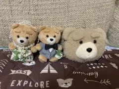 ted ぬいぐるみとコインケース