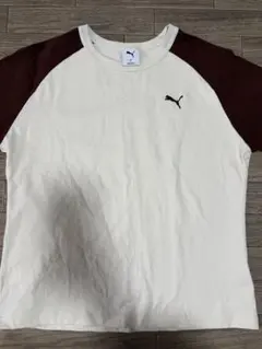 Puma ラグランスリーブ Tシャツ 半袖 アイボリー/バーガンディ