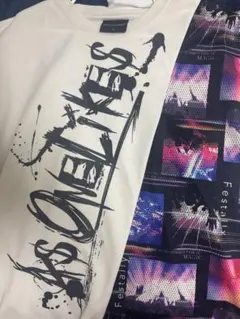 DEFECTIVE STRUCT Tシャツ LL