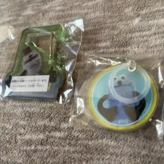 ꕤ︎︎パペットスンスンꕤ︎︎ めじるしチャーム＆カラビナ