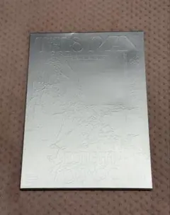 SEVENTEEN J×W THISMAN ジョンハン ウォヌ アルバム