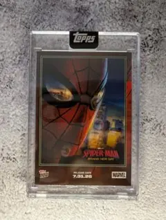 スパイダーマン™2 デスティニーBOX〈30000BOX完全限定生産・4枚組