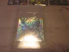 専用　ジョナサン