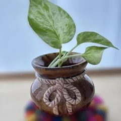 飾り壺 共箱付き 高取焼 雪山作 飾り壺 飾壺 装束付 茶壺 共箱 茶道具 木箱 - メルカリ