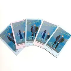 【美品】太陽よりも眩しい星 チェキ風カード《5枚セット》