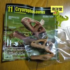 ophiuchus様 リクエスト 2点 まとめ商品